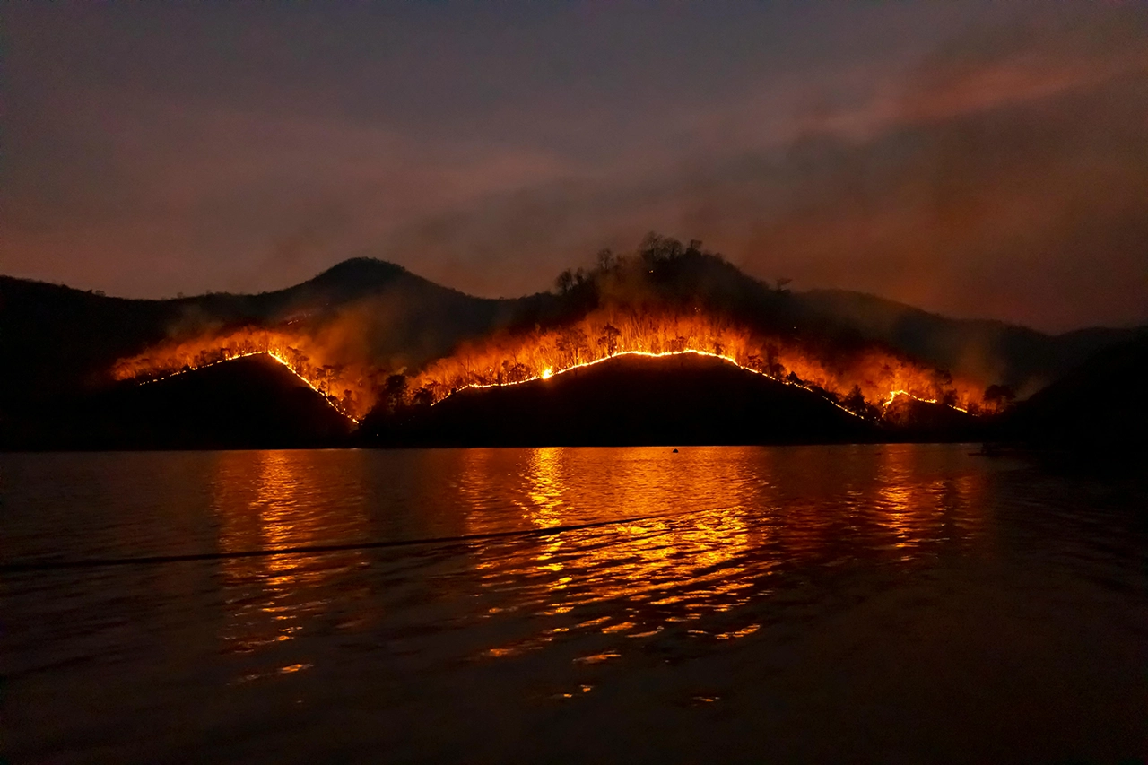 Maui Fires