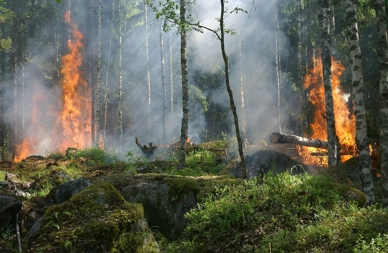 Pacific Northwest Fires