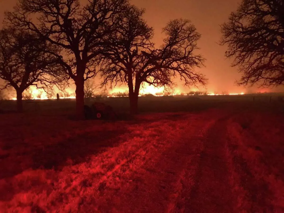Connecting Carbon After Deadly Wildfire