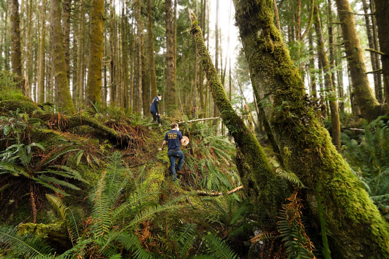 Tech Task Force Helps Quinault Nation Avoid Constitutional Crisis